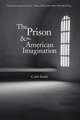 The Prison and the American Imagination