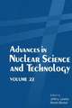 Advances in Nuclear Science and Technology: Volume 22