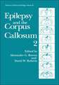 Epilepsy and the Corpus Callosum 2