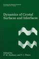 Dynamics of Crystal Surfaces and Interfaces