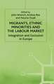 Migrants, Ethnic Minorities and the Labour Market: Integration and Exclusion in Europe