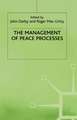 The Management of Peace Processes