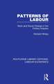 Patterns of Labour: Work and Social Change in the Pottery Industry