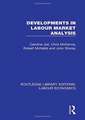 Developments in Labour Market Analysis