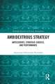 Ambidextrous Strategy: Antecedents, Strategic Choices, and Performance