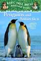 Penguins and Antarctica: Eve of the Emperor Penguin