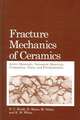 Fracture Mechanics of Ceramics: Active Materials, Nanoscale Materials, Composites, Glass, and Fundamentals