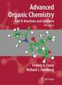 Advanced Organic Chemistry: Part B: Reaction and Synthesis