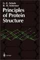 Principles of Protein Structure