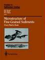 Microstructure of Fine-Grained Sediments: From Mud to Shale