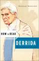 How to Read Derrida