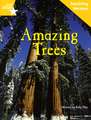 Fantastic Forest Yellow Level Non-fiction: Amazing Trees Teaching Version