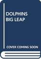 DOLPHINS BIG LEAP