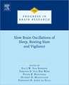 Slow Brain Oscillations of Sleep, Resting State and Vigilance