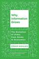 Why Information Grows
