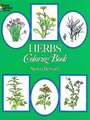 Herbs Coloring Book