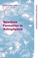 Structure Formation in Astrophysics