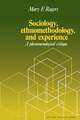 Sociology, Ethnomethodology and Experience