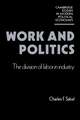 Work and Politics: The Division of Labour in Industry