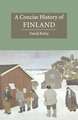 A Concise History of Finland