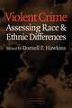 Violent Crime: Assessing Race and Ethnic Differences