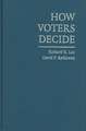How Voters Decide: Information Processing in Election Campaigns