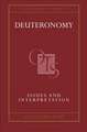 Deuteronomy: Issues and Interpretation