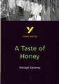 A Taste of Honey everything you need to catch up, study and prepare for the 2025 and 2026 exams