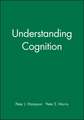 Understanding Cognition