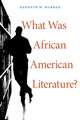 What was African American Literature?