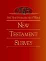 The New Interpreter's(r) Bible New Testament Survey: A-C