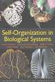 Self–Organization in Biological Systems