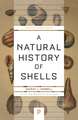 A Natural History of Shells