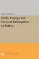 Social Change and Political Participation in Turkey