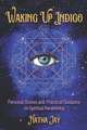 Waking Up Indigo: Personal Stories and Practical Guidance on Spiritual Awakening