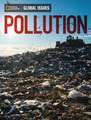 Pollution Global Issues