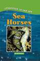 Sea Horse