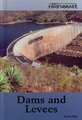 Dams and Levees