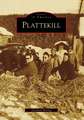 Plattekill
