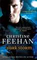 Feehan, C: Dark Storm