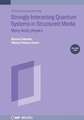 Strongly Interacting Quantum Systems in Structured Media