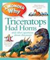 Kingfisher: I Wonder Why Triceratops Had Horns