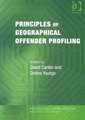 Principles of Geographical Offender Profiling