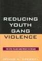 Reducing Youth Gang Violence