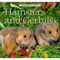 Hamsters and Gerbils