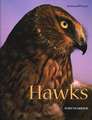 Hawks