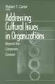 Addressing Cultural Issues in Organizations: Beyond the Corporate Context