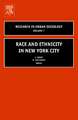 Race and Ethnicity in New York City