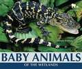 Baby Animals of the Wetlands