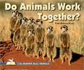 Do Animals Work Together?